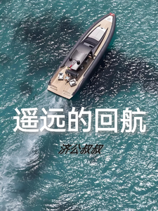 遥远的回航 cover