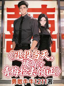 退役当天,被高冷青梅捡去领证 cover