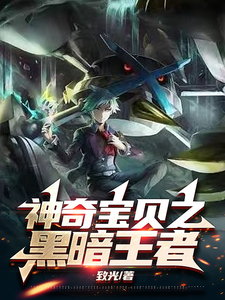 神奇宝贝之黑暗王者 cover
