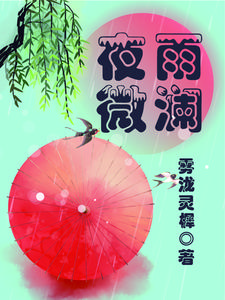 夜雨微澜 cover