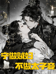 宁做贼妇不做太子妾 cover
