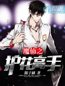 魔仙之护花高手 cover