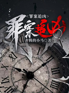 罪案追凶 cover