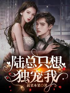 陆总只想独宠我 cover