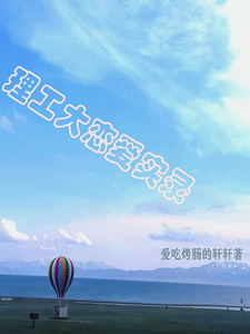 理工大恋爱实录 cover