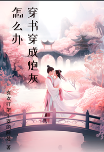 穿书穿成炮灰怎么办 cover