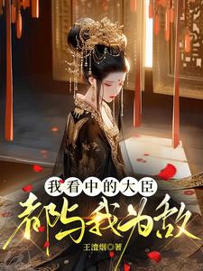 我看中的大臣都与我为敌 cover
