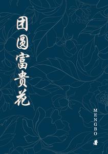 团圆富贵花 cover