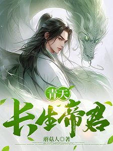 青天长生帝君 cover