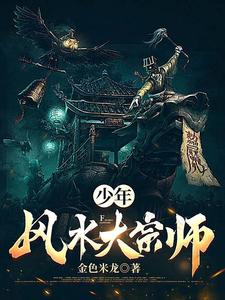 少年风水大宗师 cover