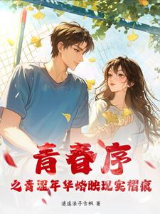 青春序之青涩年华烙映现实褶痕 cover