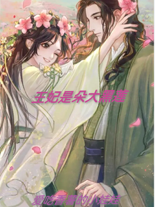 王妃是朵大黑莲 cover
