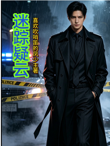 迷踪疑云 cover