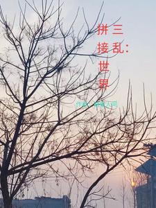 三乱:拼接世界 cover