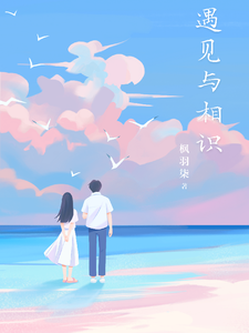 遇见与相识 cover