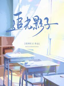 追光影子 cover