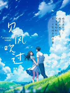 见风吹过 cover