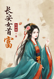 长安女首富 cover