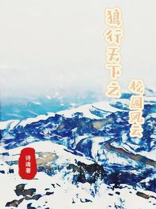狼行天下之校园风云 cover