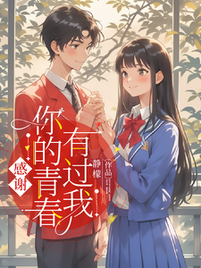 感谢您的青春有过我 cover