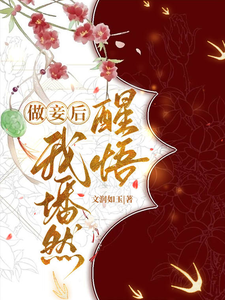 美妾多娇 cover