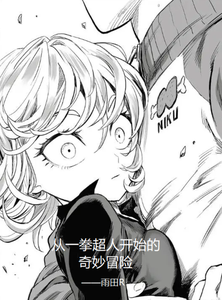 从一拳超人开始的奇妙冒险 cover