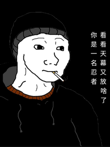 你是一名忍者,看看天幕又放啥了 cover