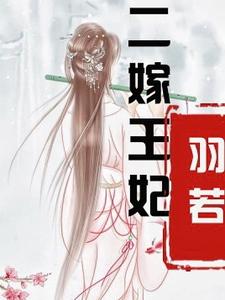 二嫁王妃 cover