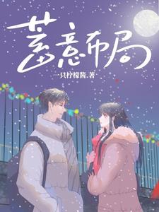 蓄意布局 cover