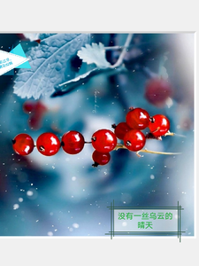 千帆过尽，繁花似锦 cover