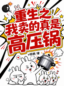 Reborn: The Pressure Cooker I Sell Is Really a Pressure Cooker cover