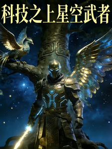 科技之上星空武者 cover