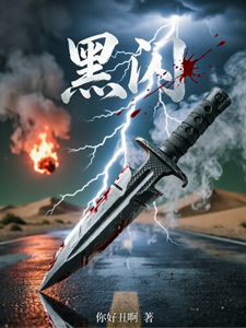 黑闪 cover