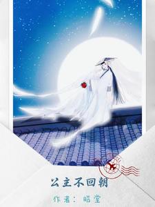 公主不回朝 cover