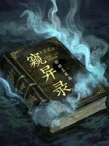 窥异录 cover