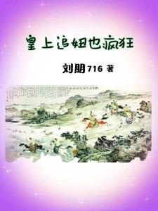 皇上追妞也疯狂 cover