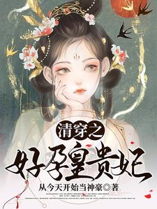 清穿之好孕皇贵妃 cover