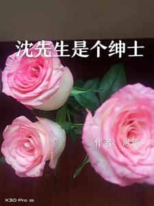 沈先生是个绅士 cover