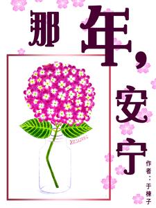 那年，安宁 cover