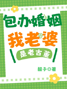 包办婚姻：我老婆是老古董 cover