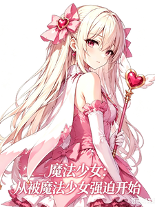 魔法少女:从被魔法少女强迫开始 cover