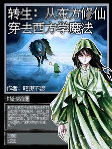 Reincarnation: From Eastern Cultivation to Western Magic cover