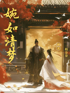 婉如清梦 cover