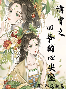清穿之四爷的心尖宠 cover