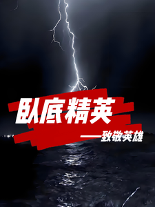 卧底精英 cover
