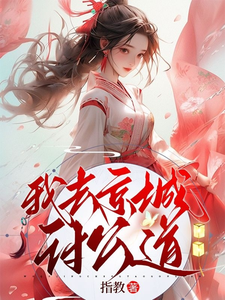 我去京城讨公道 cover