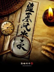 盗墓风水录 cover