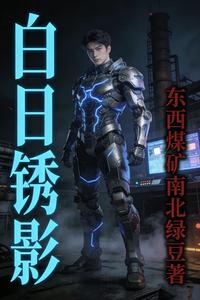 白日锈影 cover