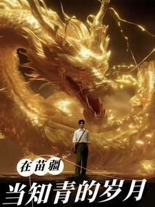 在苗疆当知青的岁月 cover