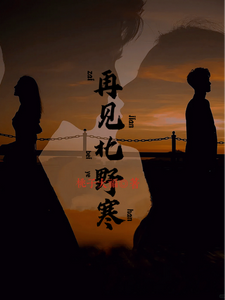 再见北野寒 cover